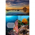 exhibit_mpa-recreaion-exhibit-694x1024